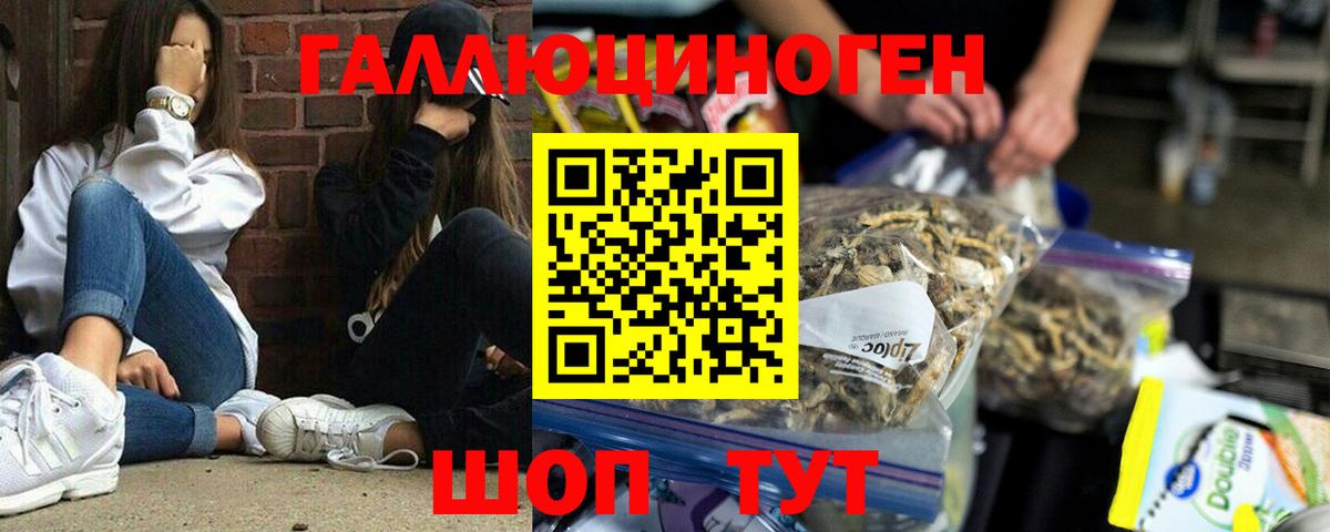 Псилоцибиновые грибы Cubensis Котельники