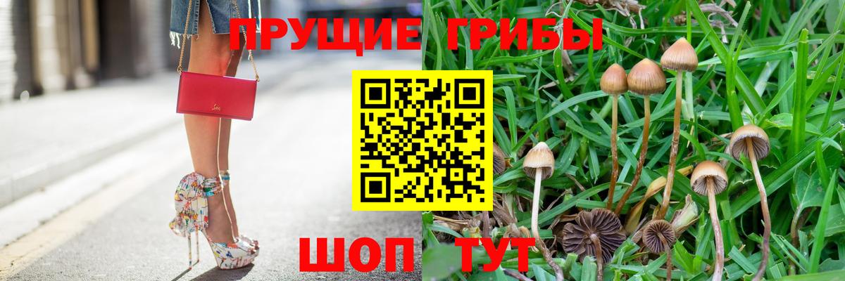 Галлюциногенные грибы мицелий  Галлюциногенные грибы Magic Shrooms  Котельники  Вход с VPN 